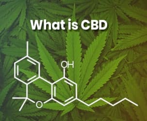 CBD Oil: What is it and Why You Should Try It?