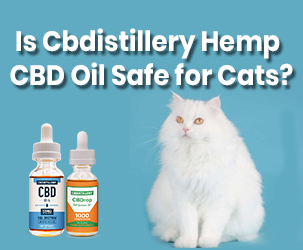 Is Cbdistillery Hemp CBD Oil Safe for Cats?