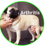 Alleviate Arthritis