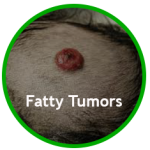CBD To Get Rid OF Fatty Tumors