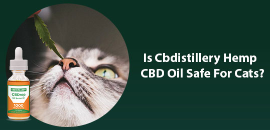 Cbdistillery-Hemp-CBD-Oil-Safe-for-Cats