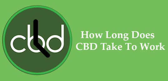 How Long Does It Take CBD to Work?