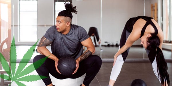 How CBD Shows Its Impact On Zym Workout