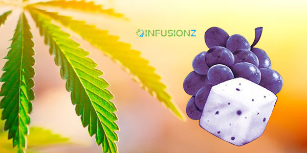 Infusionz Grape Flavored CBD Gum