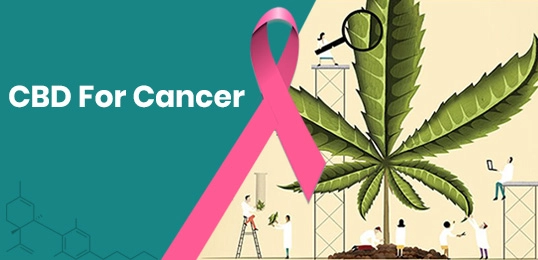 National Cancer Institute Quietly Confirms Cannabis Can Cure Cancer