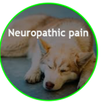 Reduce Neuropathic Pain