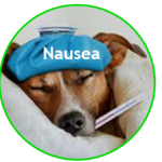 Reduce Nausea and Stimulate the Appetite