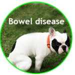 Relieve Inflammatory Bowel Disease