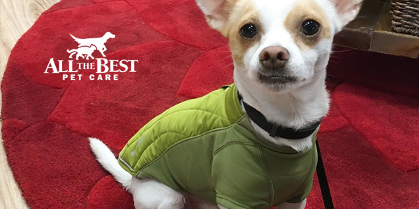 allthebestpetcare1