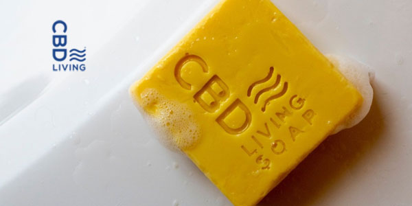 CBD Living soap