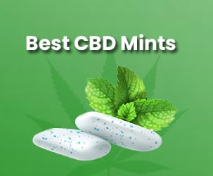 Best CBD Mints to Buy in 2022