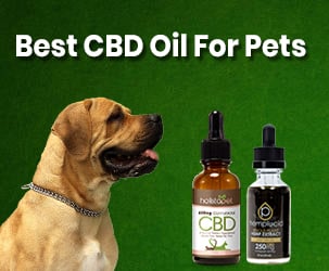 Best CBD Oil For Pets | Reviews Of Top Rated CBD Brands