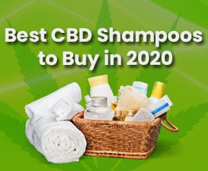Best CBD Shampoos to Buy in 2022
