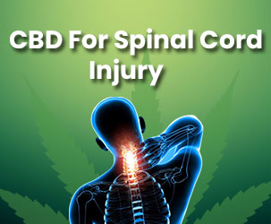 How CBD Helps in Spinal Cord Injury?