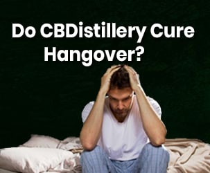 Do CBDistillery Products Cure Hangover?