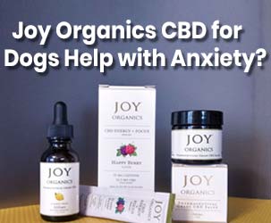 Does Joy Organics CBD for Dogs Really Help with Anxiety?