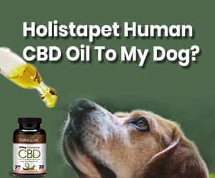 Can I Give Holistapet Human CBD Oil To My Dog?
