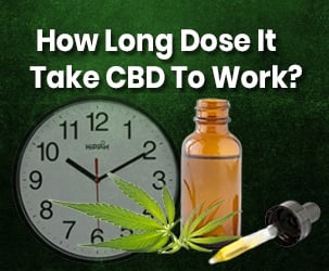 How do CBD Oils help with IBS?
