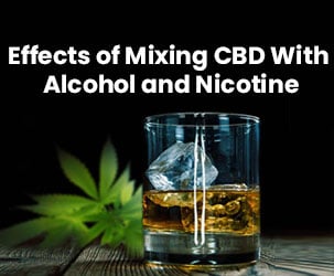What are the Effects of Mixing CBD With Nicotine and Alcohol?
