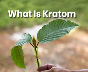 What is Kratom and What are Its Benefits?