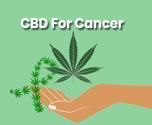 National Cancer Institute Quietly Confirms Cannabis Can Cure Cancer