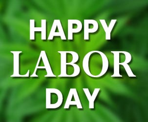 Labor Day CBD Oil Sales and Coupons 2019
