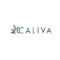 Caliva 30% OFF Caliva COUPON CODE - (20 Active) Promo {month} {year}